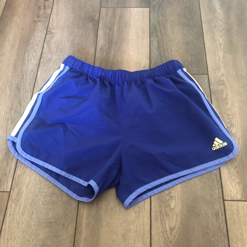 Blue/Purple Running Shorts